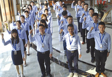 公司團(tuán)隊(duì)